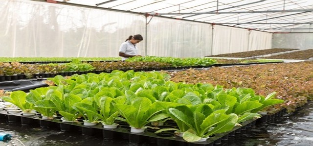 DobiAgriCo adds 12 new greenhouses and expands business operations